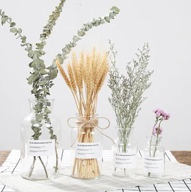 The Southern Atelier – Glass Bottle Vase - The Southern AtelierSKU_1758022801301_376
