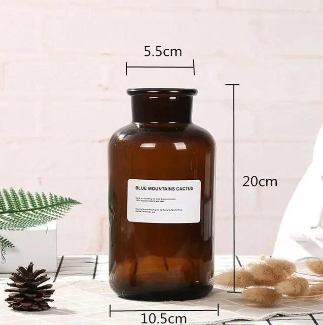 The Southern Atelier – Glass Bottle Vase - The Southern AtelierSKU_1758022801301_376