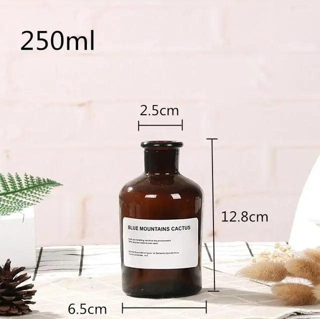 The Southern Atelier – Glass Bottle Vase - The Southern AtelierSKU_1758022801301_376