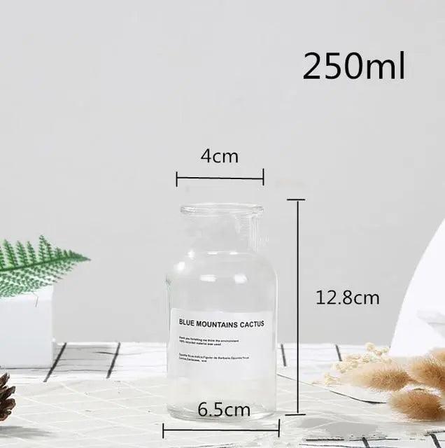 The Southern Atelier – Glass Bottle Vase - The Southern AtelierSKU_1758022801301_376