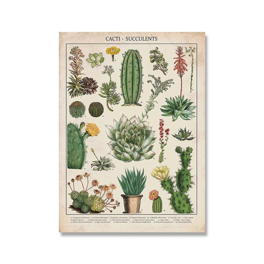 The Southern Atelier – Vintage Botanical Prints - The Southern AtelierSKU_1758022869998_121