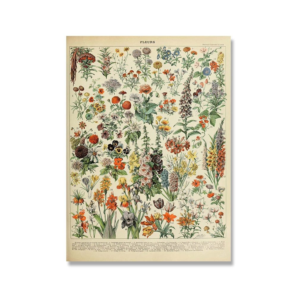 The Southern Atelier – Vintage Botanical Prints - The Southern AtelierSKU_1758022869998_330