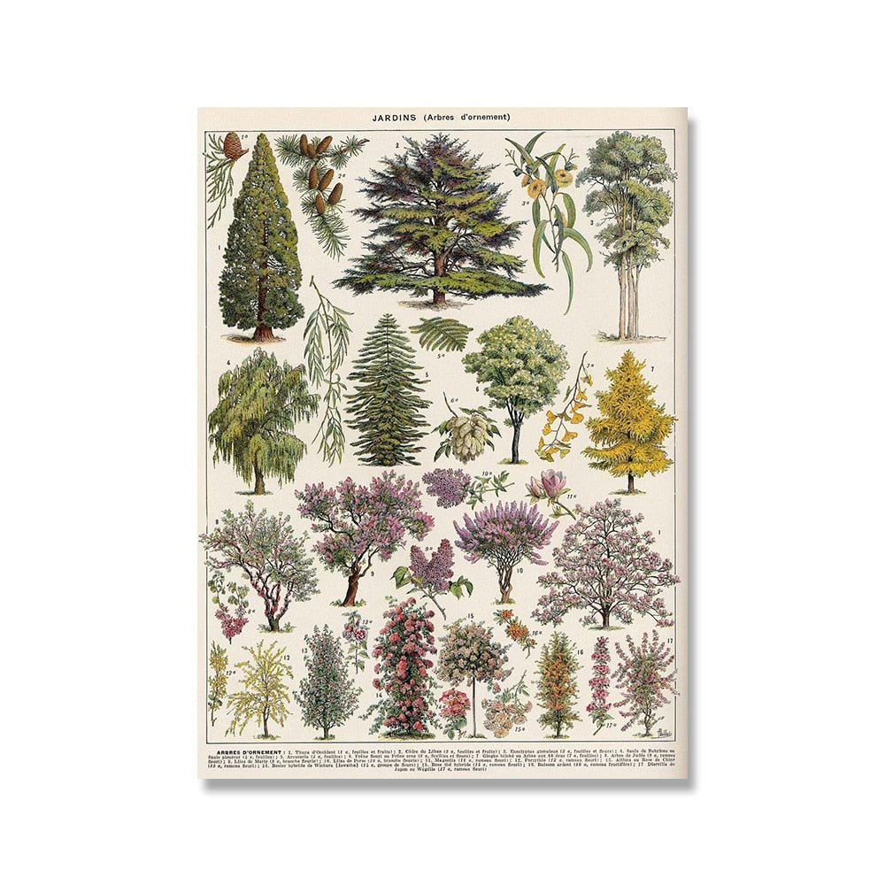 The Southern Atelier – Vintage Botanical Prints - The Southern AtelierSKU_1758022869998_339