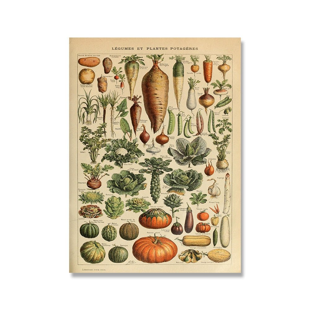 The Southern Atelier – Vintage Botanical Prints - The Southern AtelierSKU_1758022869998_460