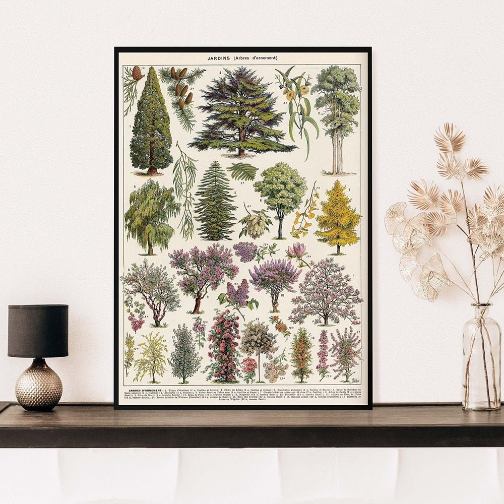 The Southern Atelier – Vintage Botanical Prints - The Southern AtelierSKU_1758022869998_706