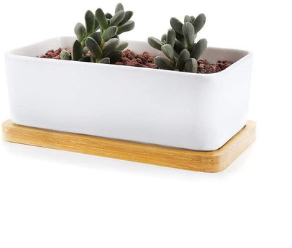 The Southern Atelier – Elegant Bamboo Planter Saucer Trays for a Stylish and Functional Display - The Southern AtelierSKU_1758918264722_573