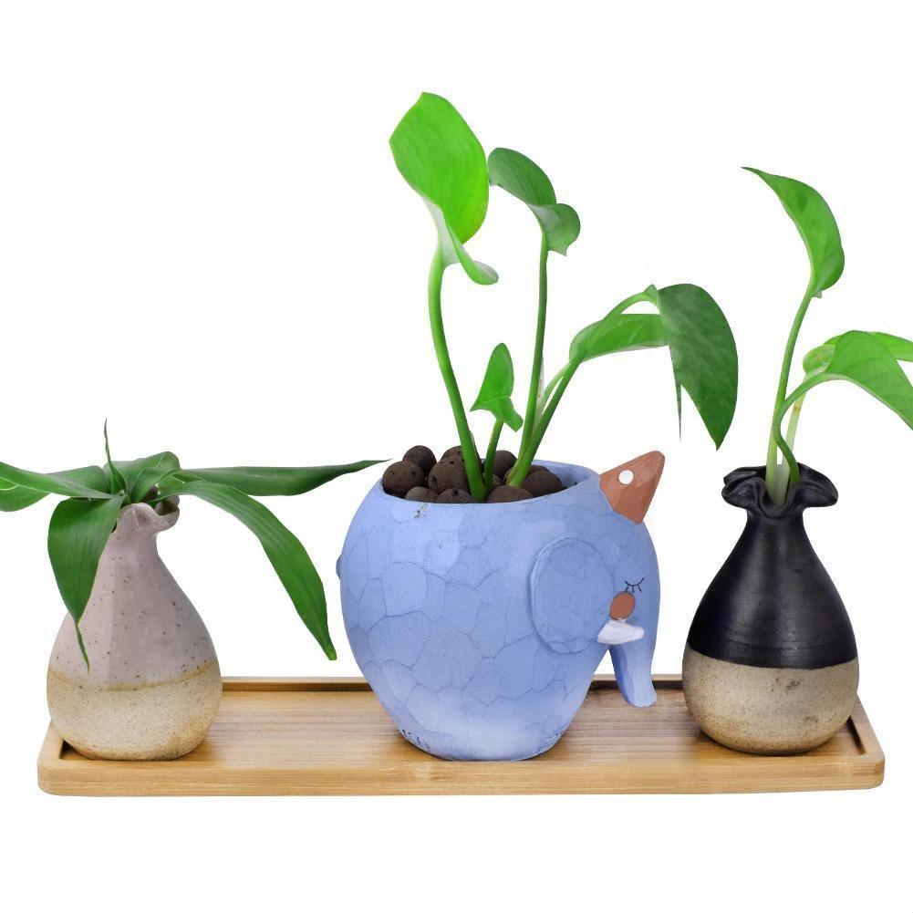 The Southern Atelier – Elegant Bamboo Planter Saucer Trays for a Stylish and Functional Display - The Southern AtelierSKU_1758918264722_573