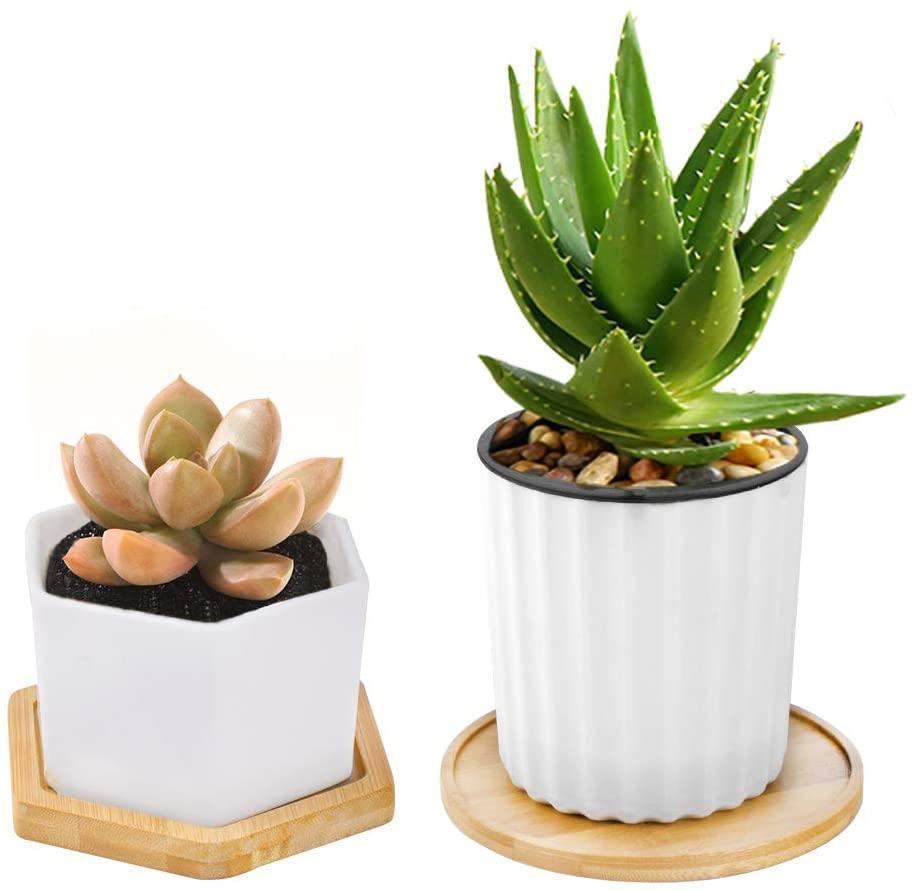 The Southern Atelier – Elegant Bamboo Planter Saucer Trays for a Stylish and Functional Display - The Southern AtelierSKU_1758918264722_573
