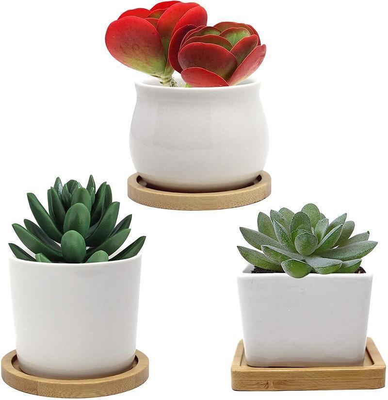 The Southern Atelier – Elegant Bamboo Planter Saucer Trays for a Stylish and Functional Display - The Southern AtelierSKU_1758918264722_573