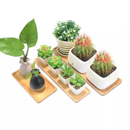 The Southern Atelier – Elegant Bamboo Planter Saucer Trays for a Stylish and Functional Display - The Southern AtelierSKU_1758918264722_573