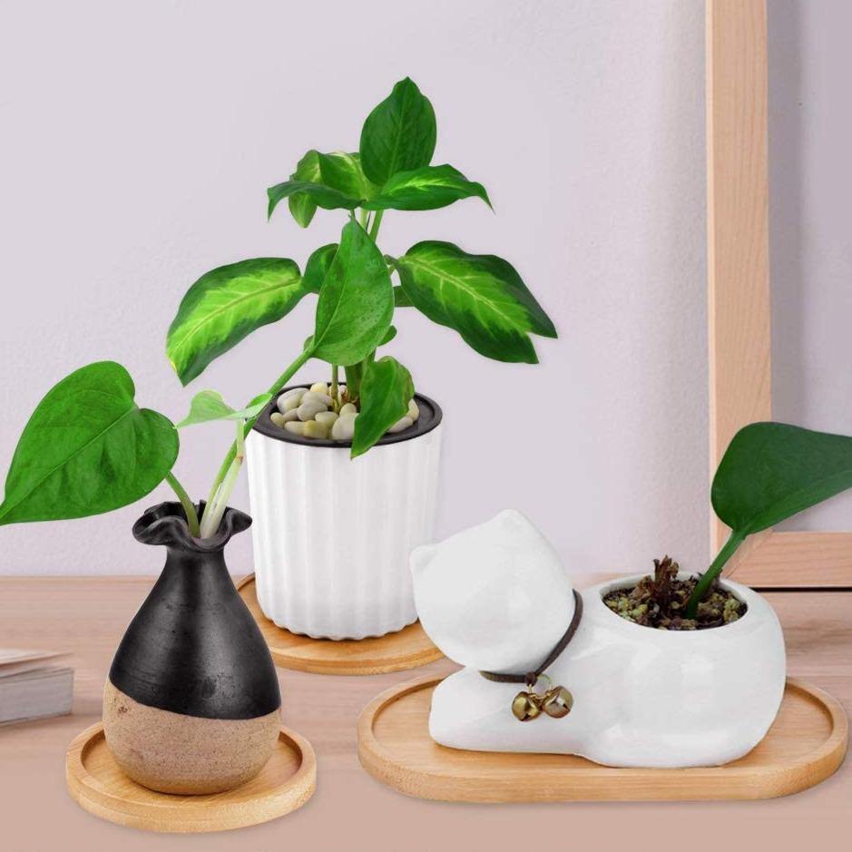 The Southern Atelier – Elegant Bamboo Planter Saucer Trays for a Stylish and Functional Display - The Southern AtelierSKU_1758918264722_573