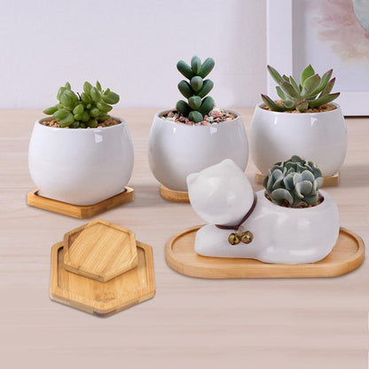 The Southern Atelier – Elegant Bamboo Planter Saucer Trays for a Stylish and Functional Display - The Southern AtelierSKU_1758918264722_573