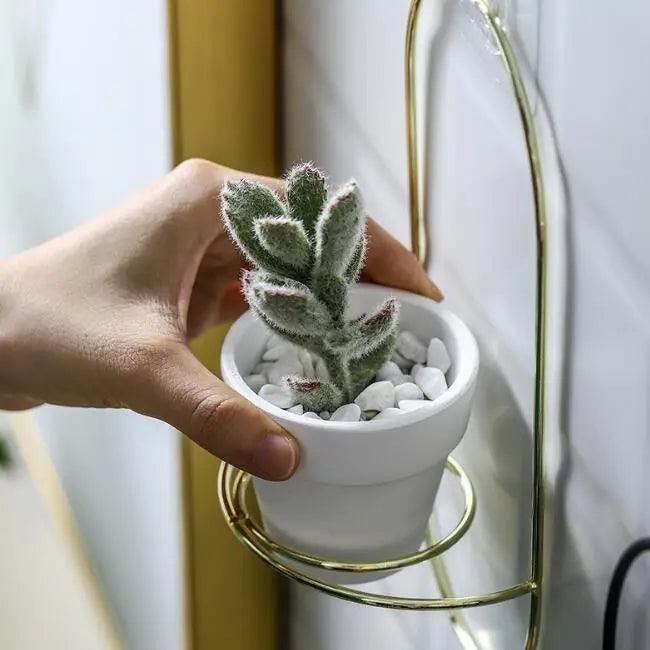 The Southern Atelier – Elegant Ceramic Planter with Sculptural Grace for Timeless Spaces - The Southern AtelierSKU_1775909205501_130