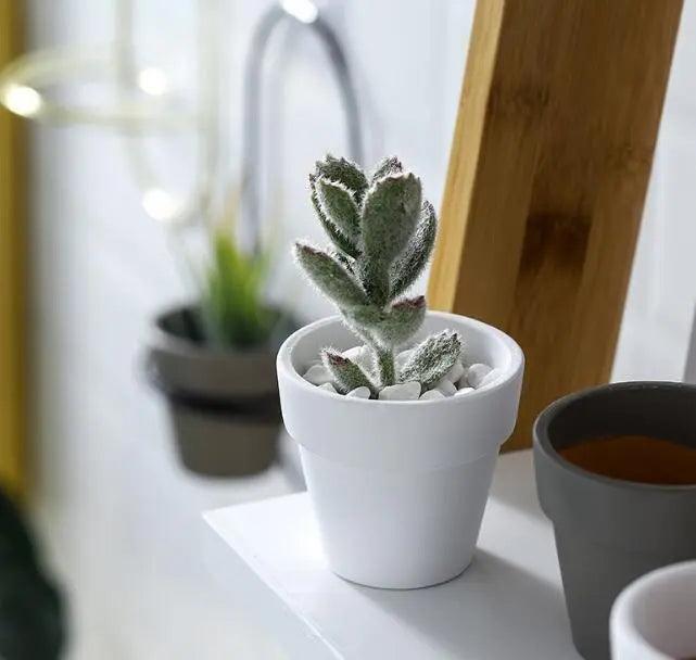 The Southern Atelier – Elegant Ceramic Planter with Sculptural Grace for Timeless Spaces - The Southern AtelierSKU_1775909205501_130