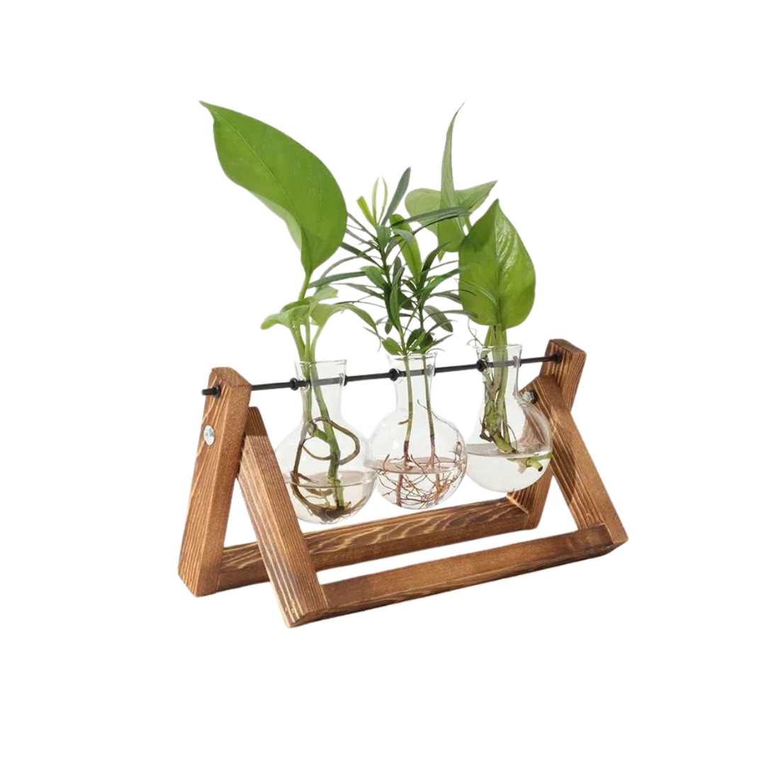The Southern Atelier – Elegant Glass Propagation Vase with Chic Wooden A - Frame Stand for a Serene Ambiance - The Southern AtelierSKU_1764698753434_84