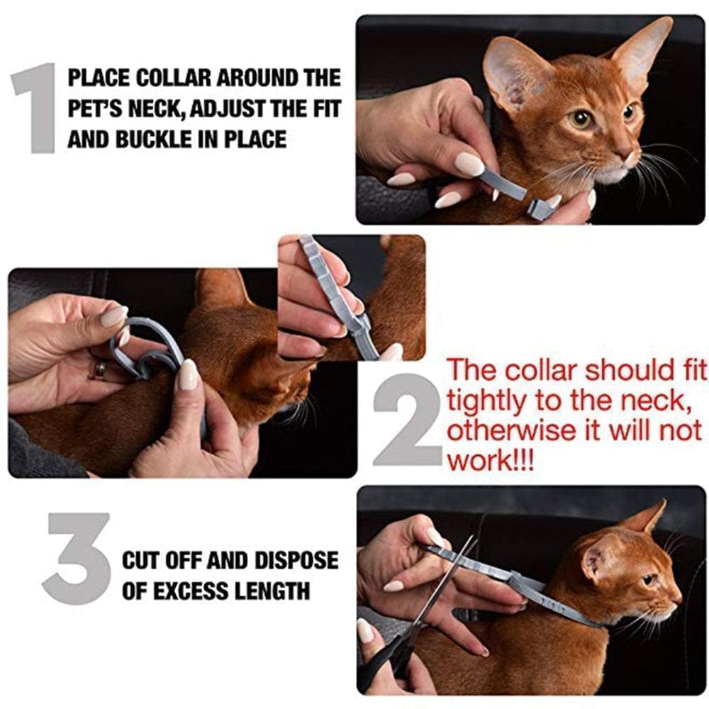 The Southern Atelier - Flea & Tick Collar for Dogs & Cats with 8-Month Protection, Adjustable and Water Resistant - The Southern AtelierSKU_1786566404814_650