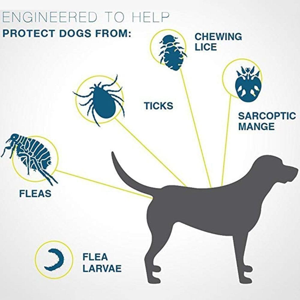 The Southern Atelier - Flea & Tick Collar for Dogs & Cats with 8-Month Protection, Adjustable and Water Resistant - The Southern AtelierSKU_1786566404814_650