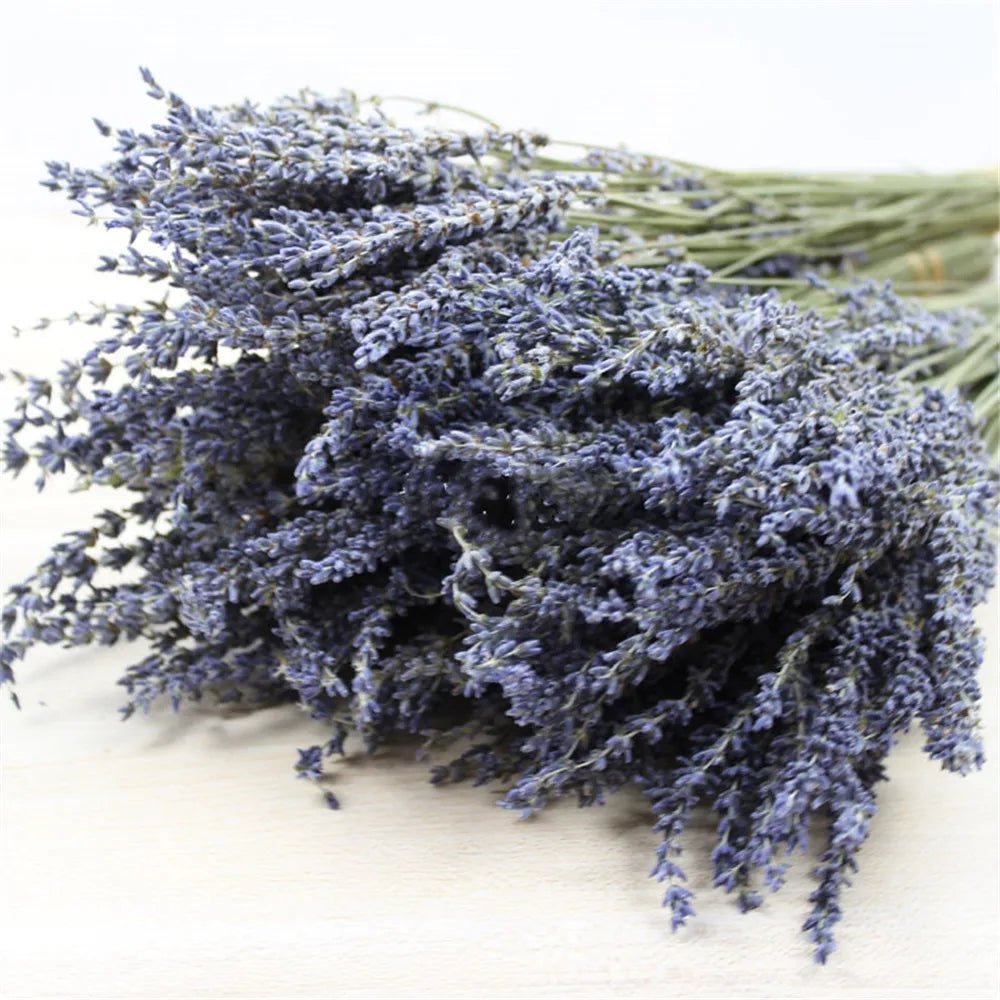 The Southern Atelier – Natural Dried Lavender - The Southern AtelierSKU_1758918217614_285