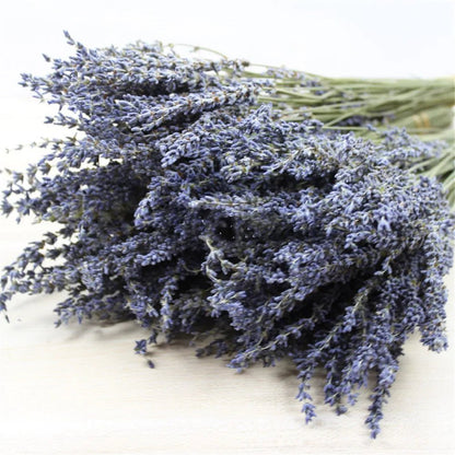 The Southern Atelier – Natural Dried Lavender - The Southern AtelierSKU_1758918217614_285