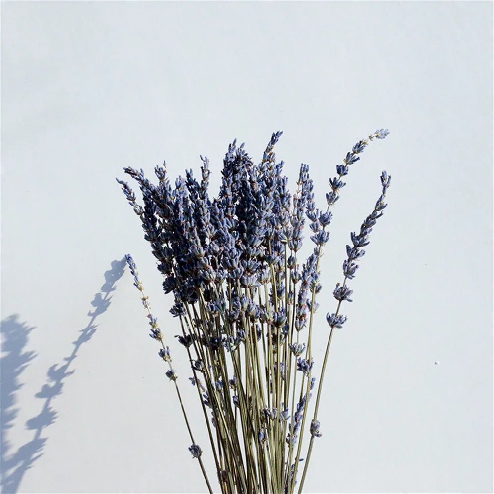 The Southern Atelier – Natural Dried Lavender - The Southern AtelierSKU_1758918217614_285