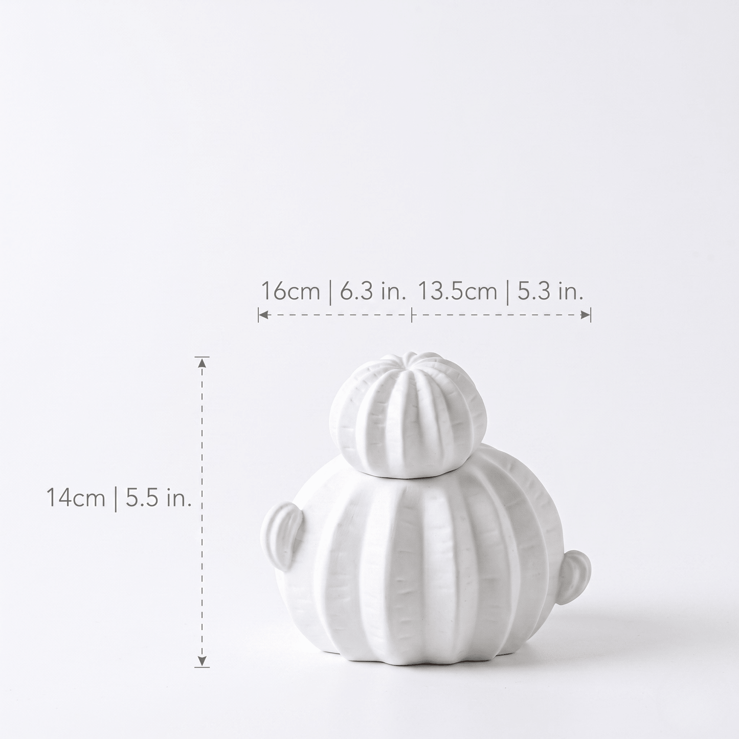 The Southern Atelier – Nordic Modern Cactus Vases - The Southern AtelierSKU_1757600756206_874
