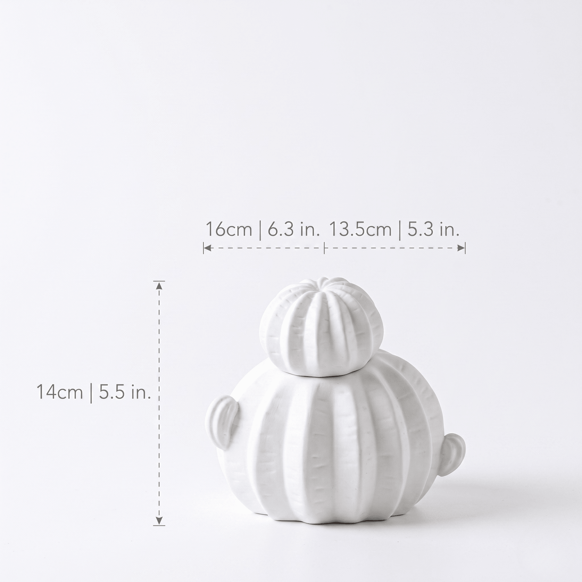 The Southern Atelier – Nordic Modern Cactus Vases - The Southern AtelierSKU_1757600756206_874