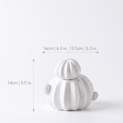 The Southern Atelier – Nordic Modern Cactus Vases - The Southern AtelierSKU_1757600756206_874