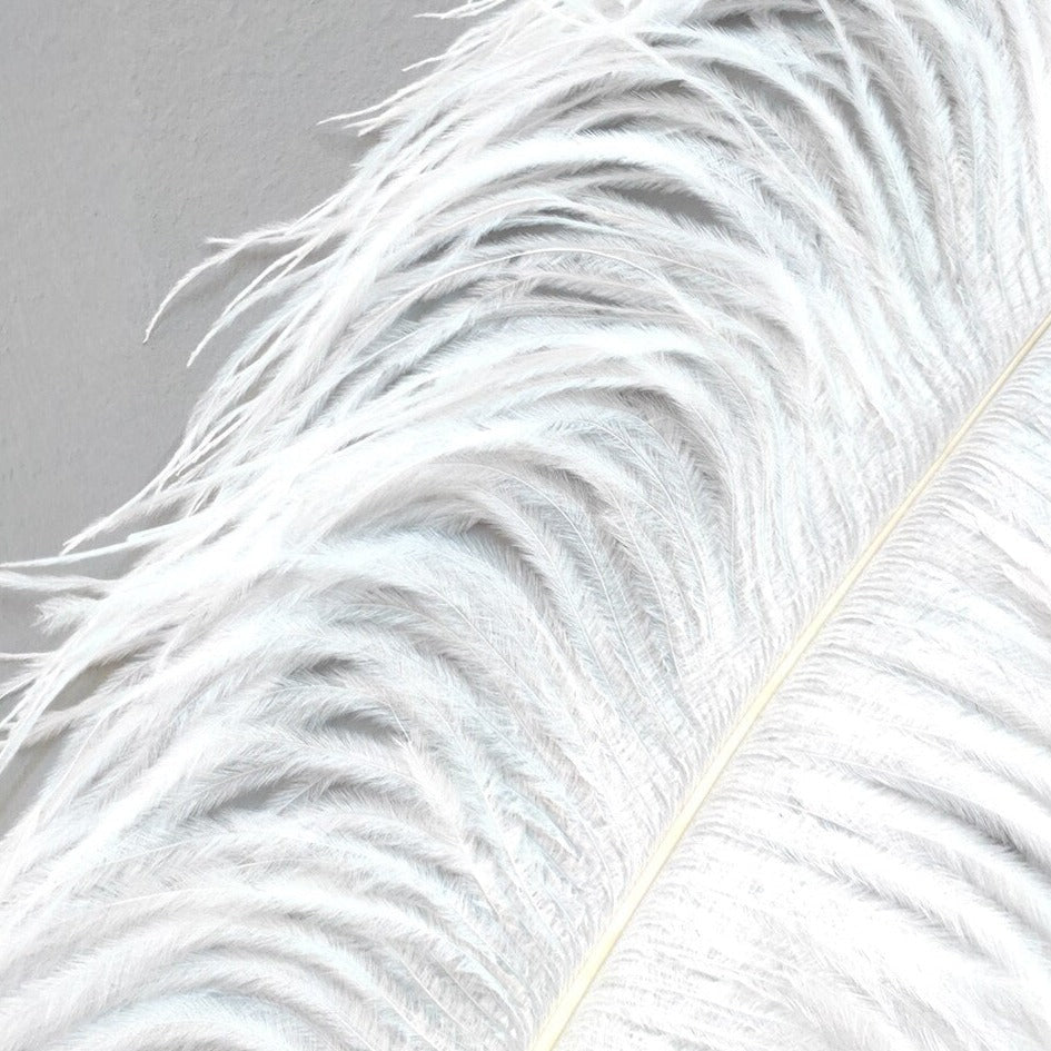 The Southern Atelier – Ostrich Feather Floor Lamp - The Southern AtelierSKU_1754143559503_688