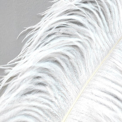 The Southern Atelier – Ostrich Feather Floor Lamp - The Southern AtelierSKU_1754143559503_688
