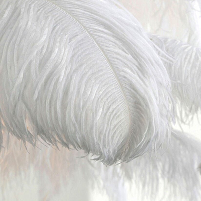 The Southern Atelier – Ostrich Feather Floor Lamp - The Southern AtelierSKU_1754143559503_688