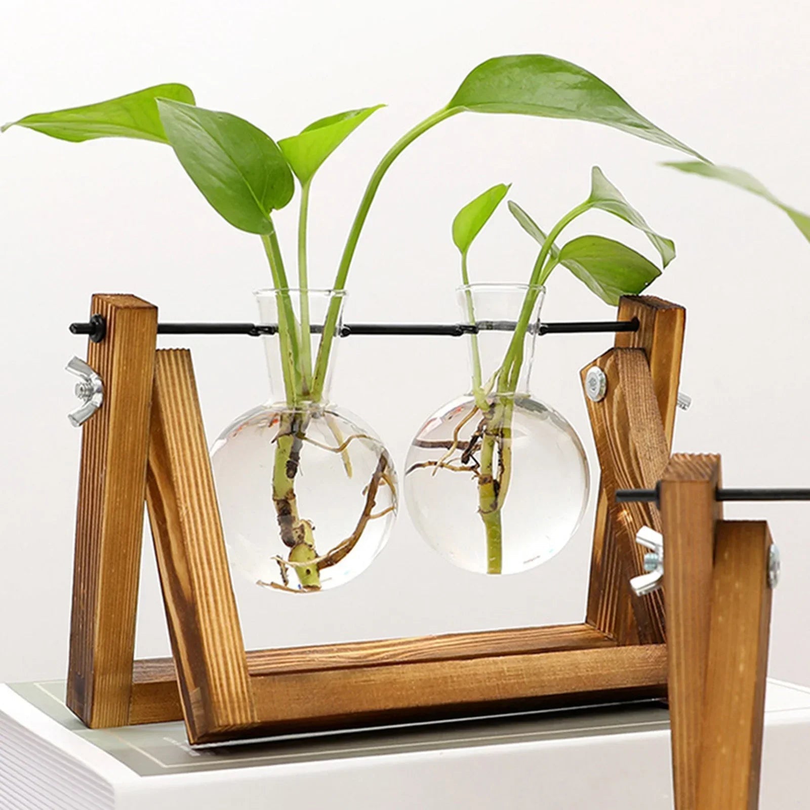 The Southern Atelier – Plant Propagation Stand - The Southern AtelierSKU_1758918218206_304