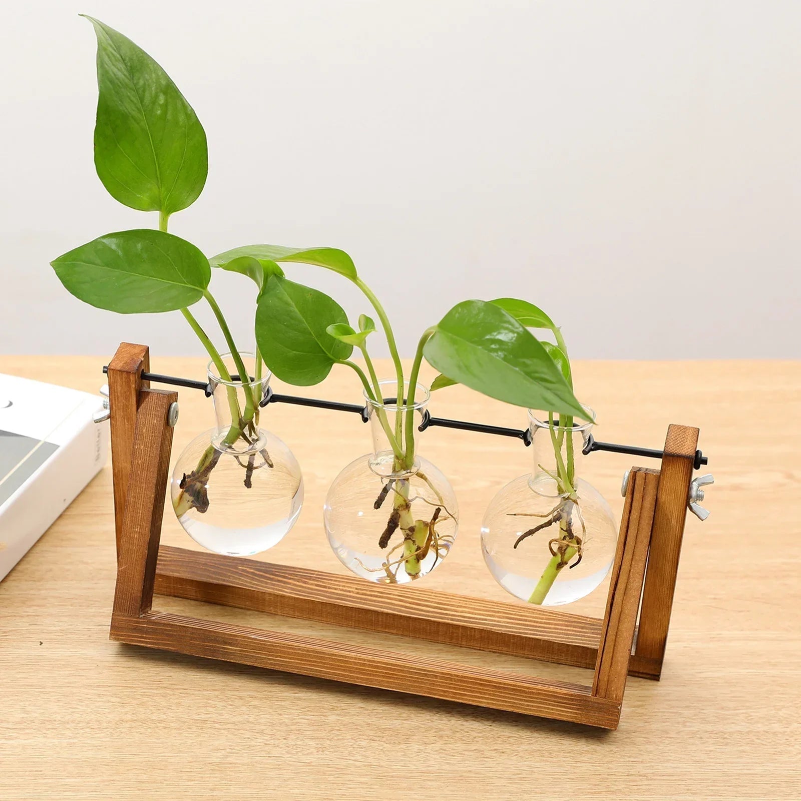 The Southern Atelier – Plant Propagation Stand - The Southern AtelierSKU_1758918218206_406