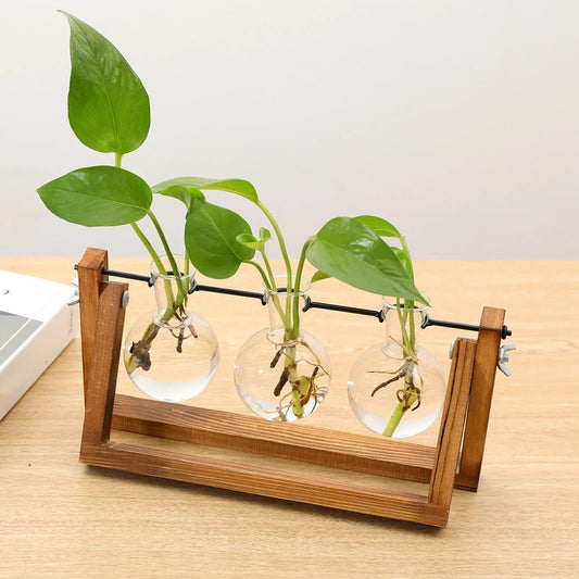 The Southern Atelier – Plant Propagation Stand - The Southern AtelierSKU_1758918218206_406