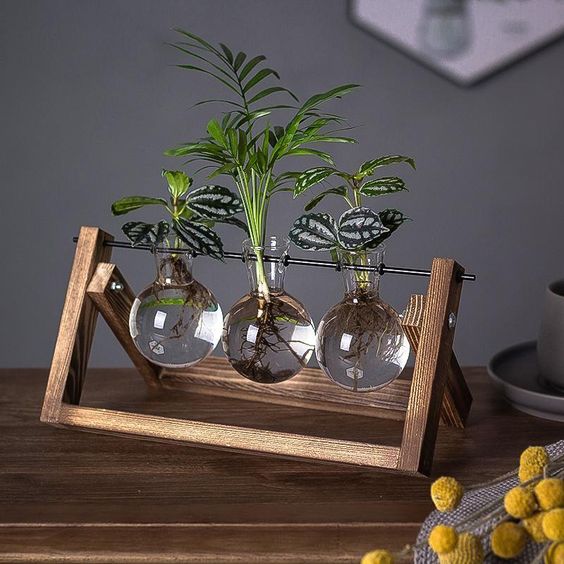 The Southern Atelier – Plant Propagation Stand - The Southern AtelierSKU_1758918218206_406