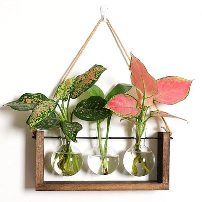 The Southern Atelier – Plant Propagation Stand - The Southern AtelierSKU_1758918218206_406