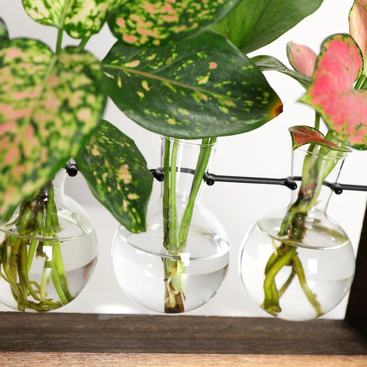 The Southern Atelier – Plant Propagation Stand - The Southern AtelierSKU_1758918218206_406