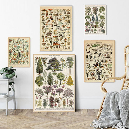The Southern Atelier – Vintage Botanical Prints - The Southern AtelierSKU_1758022869998_10