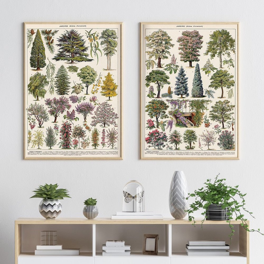 The Southern Atelier – Vintage Botanical Prints - The Southern AtelierSKU_1758022869998_10