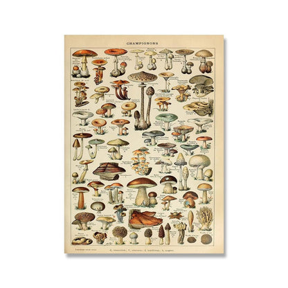 The Southern Atelier – Vintage Botanical Prints - The Southern AtelierSKU_1758022869998_10