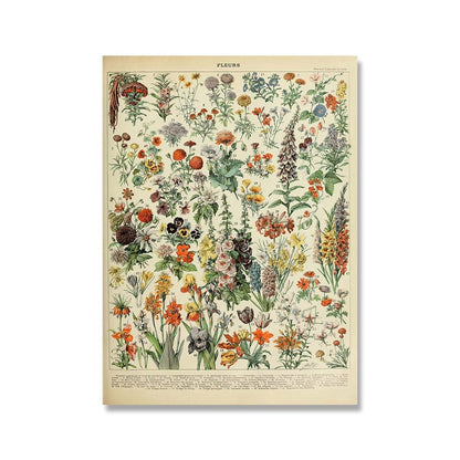The Southern Atelier – Vintage Botanical Prints - The Southern AtelierSKU_1758022869998_330