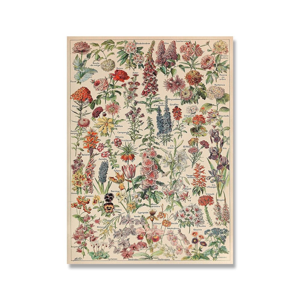 The Southern Atelier – Vintage Botanical Prints - The Southern AtelierSKU_1758022869998_453