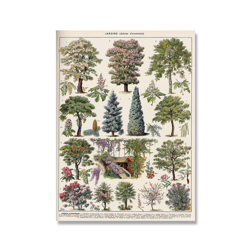 The Southern Atelier – Vintage Botanical Prints - The Southern AtelierSKU_1758022869998_677