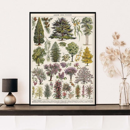 The Southern Atelier – Vintage Botanical Prints - The Southern AtelierSKU_1758022869998_706