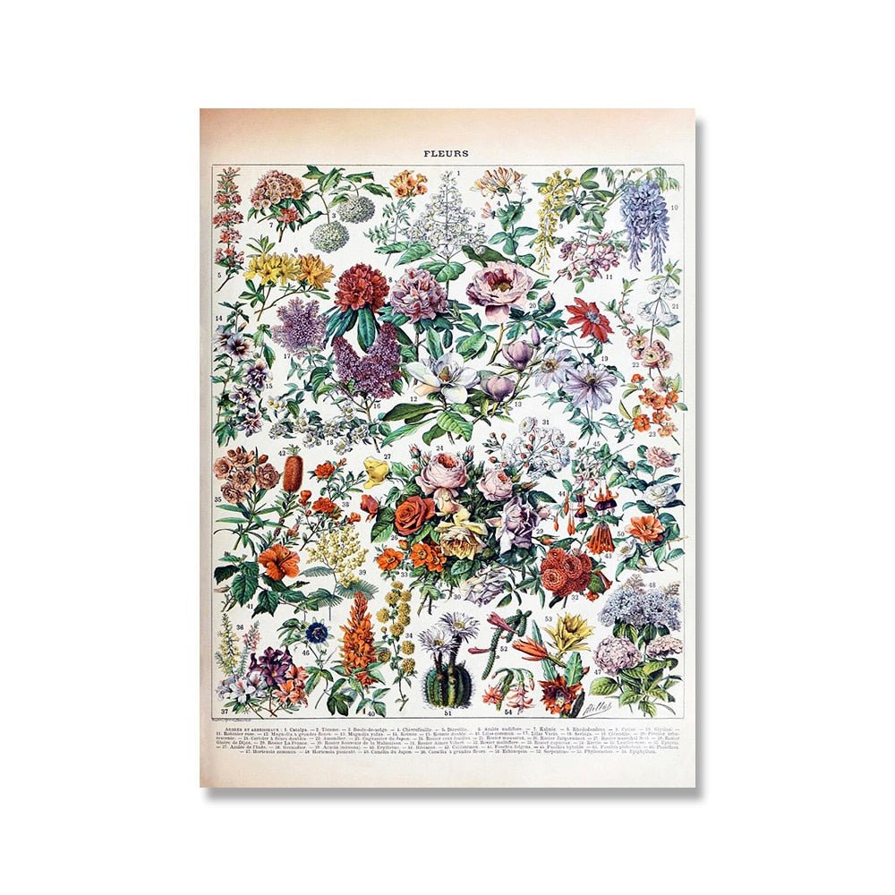 The Southern Atelier – Vintage Botanical Prints - The Southern AtelierSKU_1758022869998_955